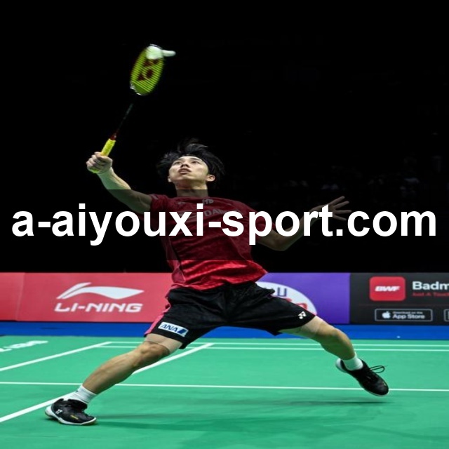 爱游戏体育官网入口使用指南：从注册到登录的完整流程解析